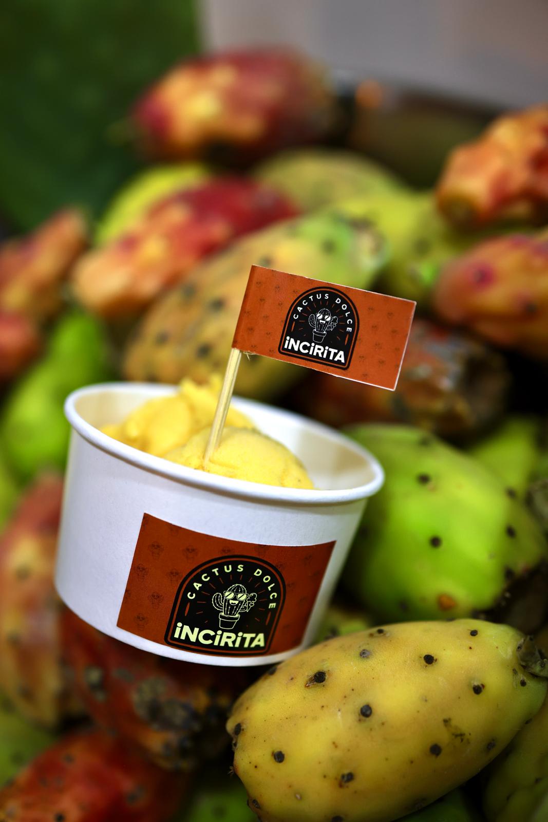 Ezgi Fındık Güngör